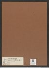 Triceratium affine Grun. (de-Toni-Nr.: Genus 140, Species 3754) Zeichnungen Sammlung Grunow Mappe 03855 (Herbarium_W_Grunow_drawings_Folder_03855)
